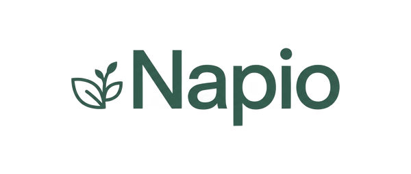 Napio logo transparent