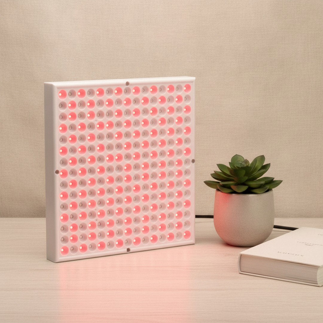 Napio Glow Red Light Therapy Panel with plant and book scale reference